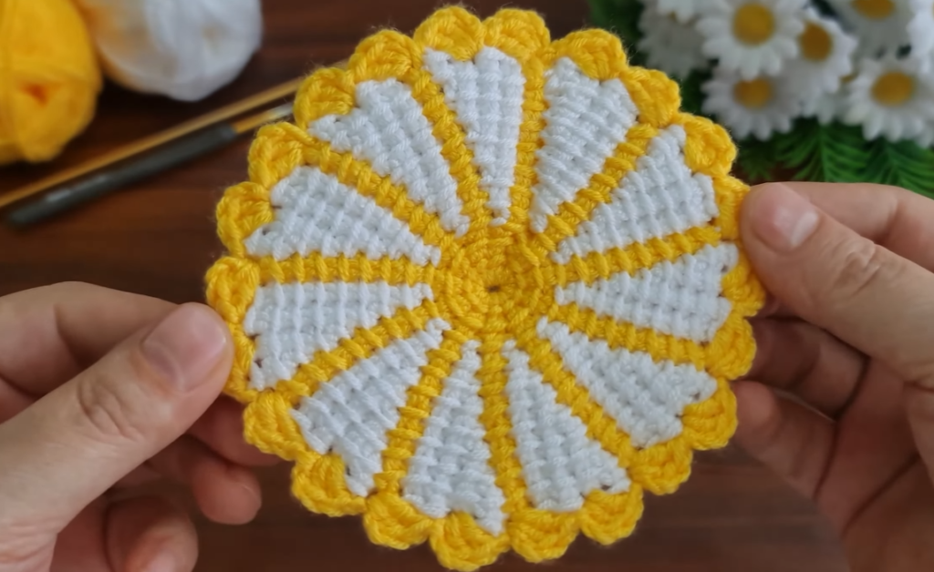 Step By Step Crochet Flower Coaster Pattern